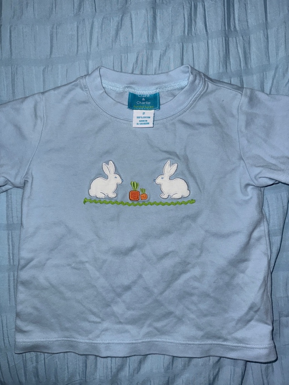 Blue Bunny Appliqué Tee